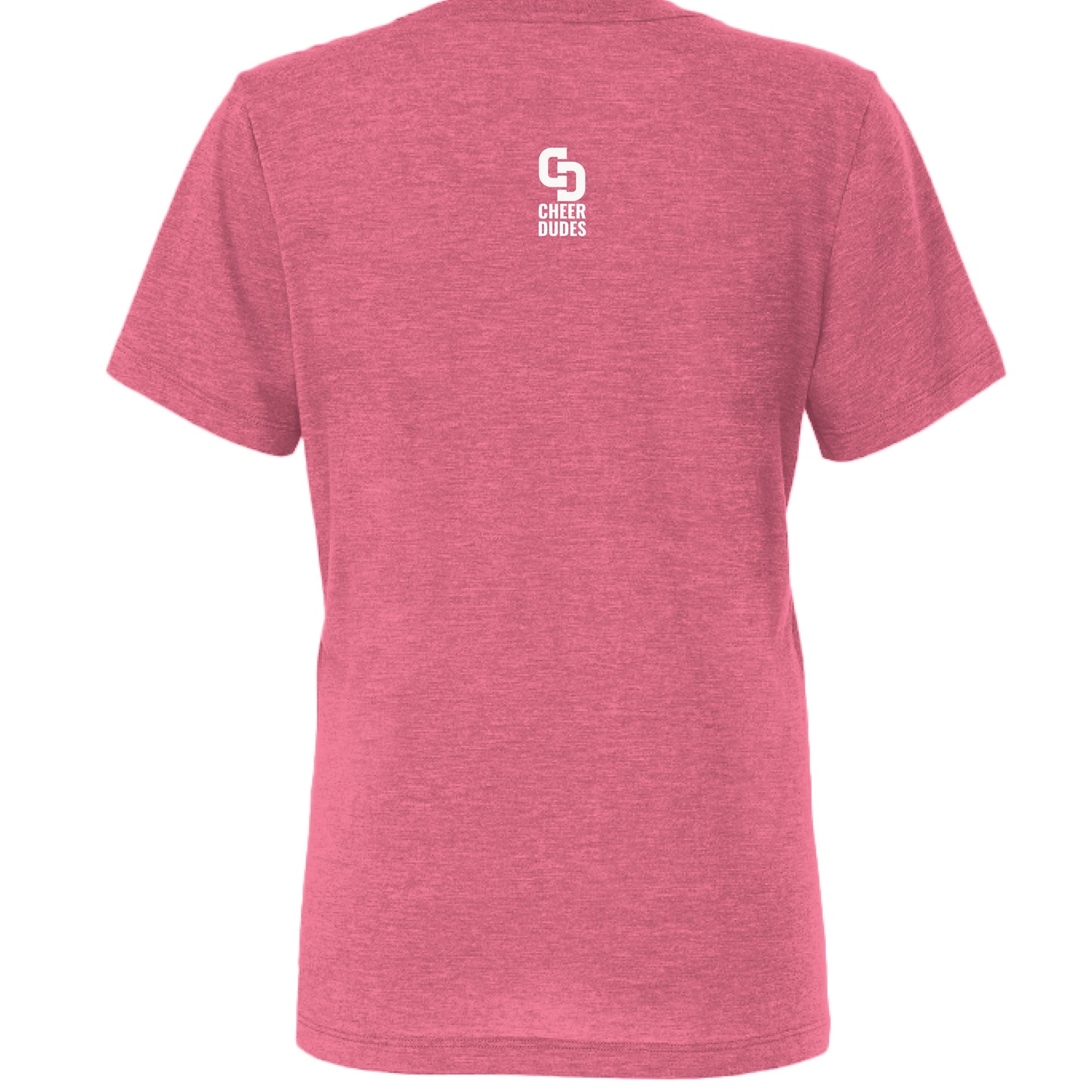 Char Pink Triblend - BACK
